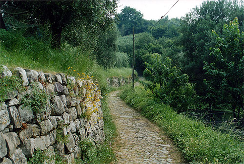 Itinerario - Sentiero per la Rocca Martinengo - Menzino - Montisola